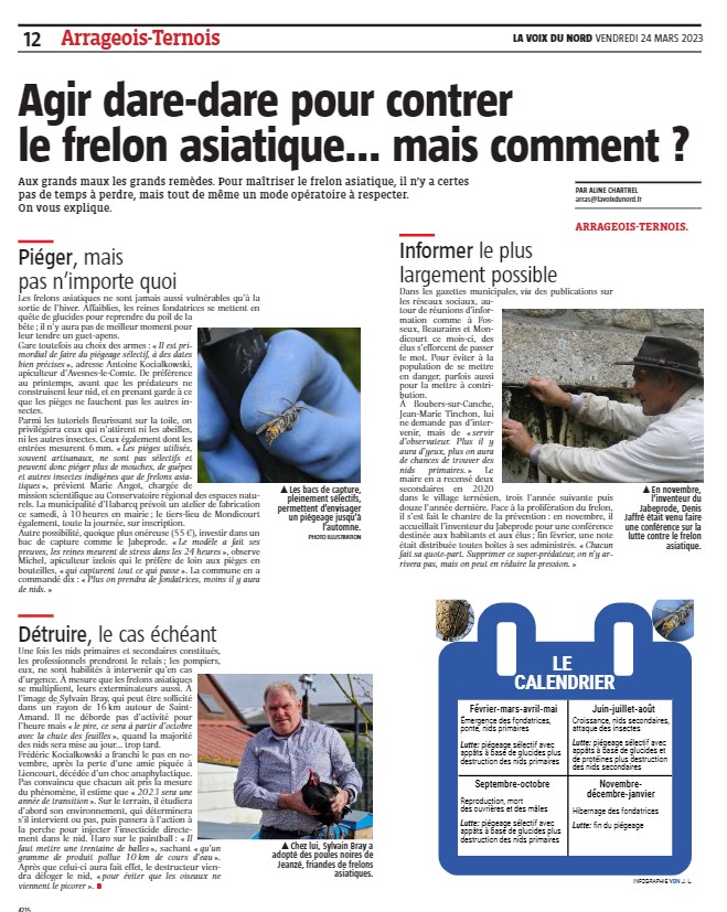 article-voixdunord-frelon-asiatique-24-mars-2023