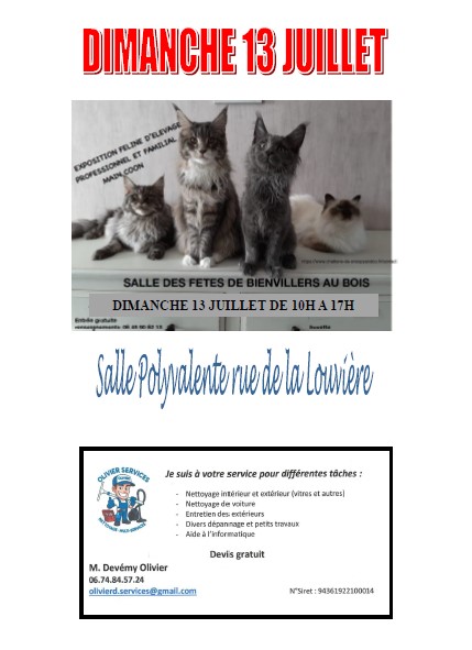 FETE COMMUNALE BIENVILLERS AU BOIS DIMANCHE 13 JUILLET 2025 (1)
