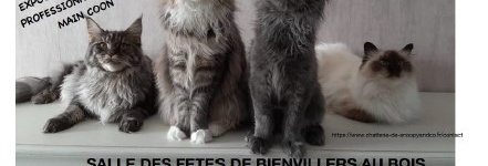 FETE COMMUNALE BIENVILLERS AU BOIS SAMEDI 12 JUILLET 2025 - 3