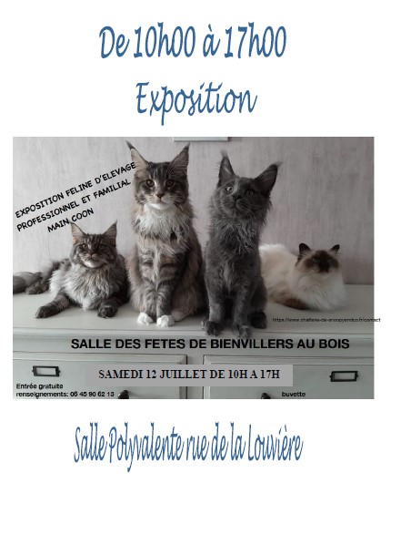 FETE COMMUNALE BIENVILLERS AU BOIS SAMEDI 12 JUILLET 2025 - 3